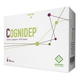 COGNIDEP 14 BUSTINE