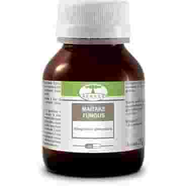 MAITAKE FUNGUS 60 CAPSULE