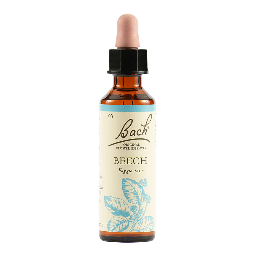 Beech Bach Orig 20 Ml