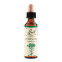 CENTAURY BACH ORIG 20 ML
