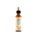 CHERRY PLUM BACH ORIG 20 ML