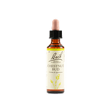 CHESTNUT BUD BACH ORIG 20 ML