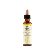 CHESTNUT BUD BACH ORIG 20 ML