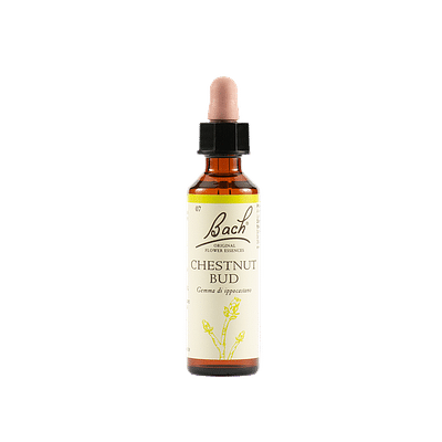 CHESTNUT BUD BACH ORIG 20 ML