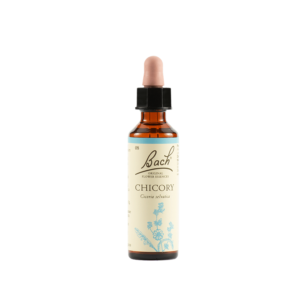 Chicory Bach Orig 20 Ml