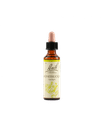 HONEYSUCKLE BACH ORIG 20 ML