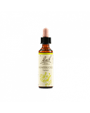 HONEYSUCKLE BACH ORIG 20 ML