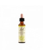 HONEYSUCKLE BACH ORIG 20 ML