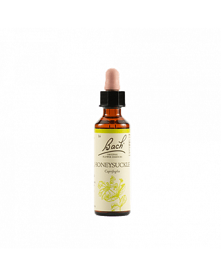 HONEYSUCKLE BACH ORIG 20 ML
