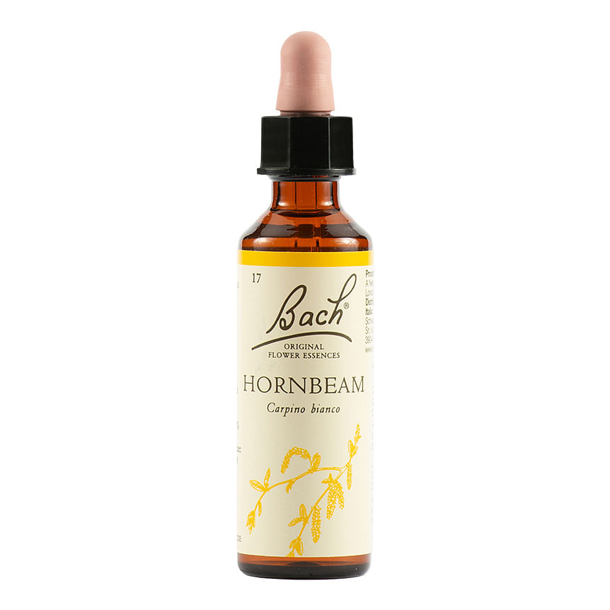 Hornbeam Bach Orig 20 Ml