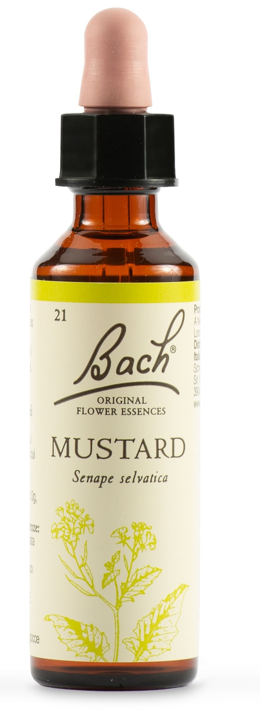 Mustard Bach Orig 20 Ml