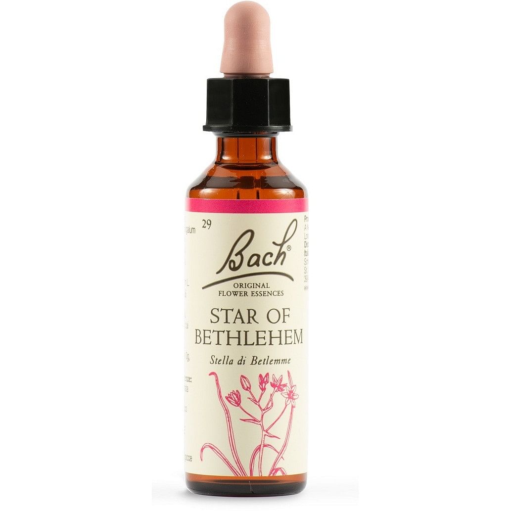 Star Of Bethl Orig 20 Ml