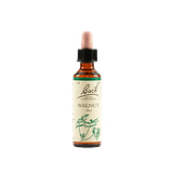 WALNUT BACH ORIG 20 ML