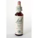 WILD OAT BACH ORIG 20 ML
