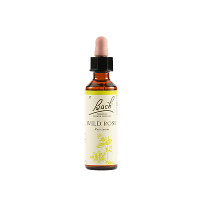 WILD ROSE BACH ORIG 20 ML
