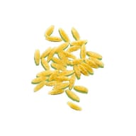 DIALSI' MAIS&RISO RISONI 300 G