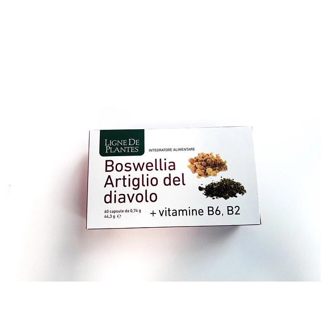 Boswellia Artiglio Diavolo Vitamine B2 B6 60 Capsule