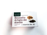 BOSWELLIA ARTIGLIO DIAVOLO VITAMINE B2 B6 B9 60 CAPSULE