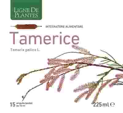 TAMERICE 15 AMPOLLE 15 ML