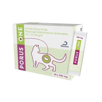 PORUS ONE 30 BUSTINE PORUS ONE 30 BUSTINE