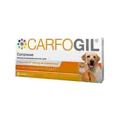 CARFOGIL 30 COMPRESSE