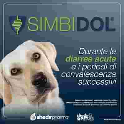 SIMBIDOL 20 BUSTINE
