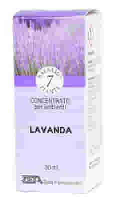 ESSENZA BALSAMICA 7 PIANTE CONCENTRATO LAVANDA 30 ML