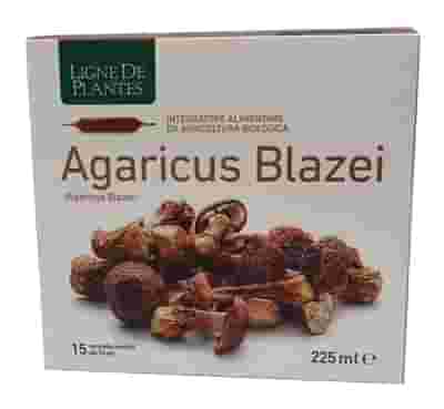 AGARICUS BLAZEI BIO 15 AMPOLLI 15 ML
