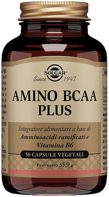 Amino Bcaa Plus 50 Capsule