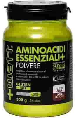 AMINOACIDI ESSENZIALI COLA 300 G