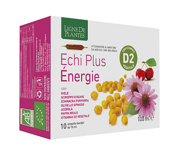 Echi Plus Energie 10 Ampolle Da 10 Ml