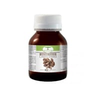 SHIITAKEFUNGUS 60 CAPSULE