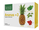 ANANAS +3 60 CAPSULE