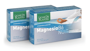 Magnesio B6 Nuit 60 Capsule