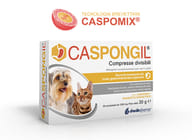 CASPONGIL 30 COMPRESSE DIVISIBILI