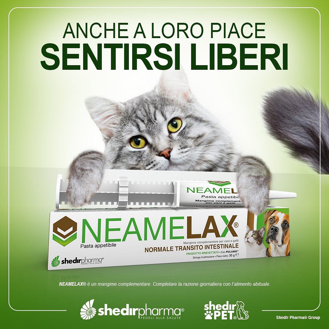 Neamelax Pasta 30 G