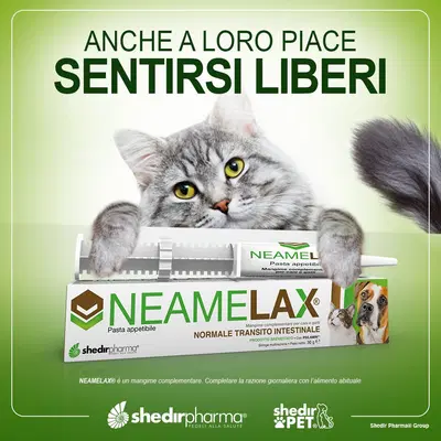 NEAMELAX PASTA 30 G NEAMELAX PASTA 30 G