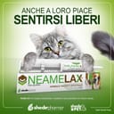 NEAMELAX PASTA 30 G
