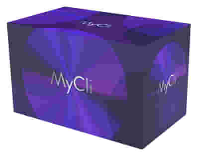 MYCLI POCHETTE LIFTABLE ASTUCCIO COMPOSTO DA MYCLI LIFTABLE REBUILDING 15 ML TUBO + MYCLI LIFTABLE PLURIDAY 15 ML TUBO +MYCLI LIFTABLE PLURIDAY 15 ML TUBO