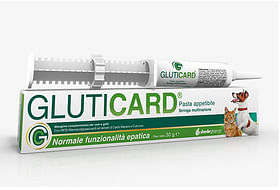 Gluticard Pasta 30 G