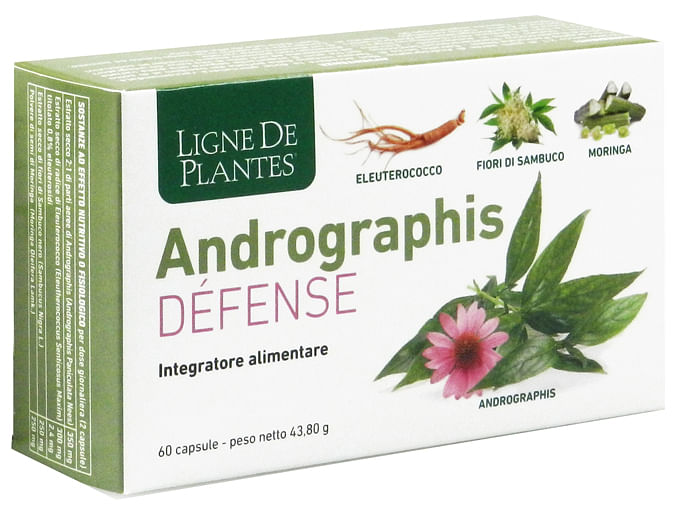 Ligne De Plantes Andrographis Defense 60 Capsule