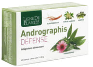 LIGNE DE PLANTES ANDROGRAPHIS DEFENSE 60 CAPSULE