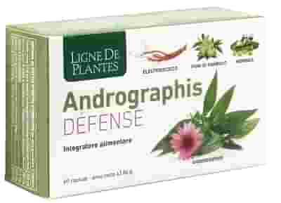LIGNE DE PLANTES ANDROGRAPHIS DEFENSE 60 CAPSULE