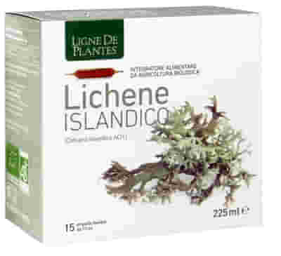 LIGNE DE PLANTES LICHENE ISLANDICO 15 AMPOLLE X 15 ML