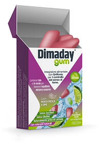 Dimaday Gum 10 Chewing Gum