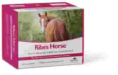 RIBES HORSE 30 BUSTE