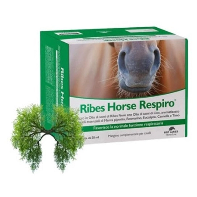 Ribes Horse Respiro 30 Buste