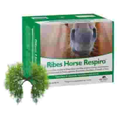 RIBES HORSE RESPIRO 30 BUSTE