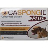 CASPONGIL PLUS 30 COMPRESSE