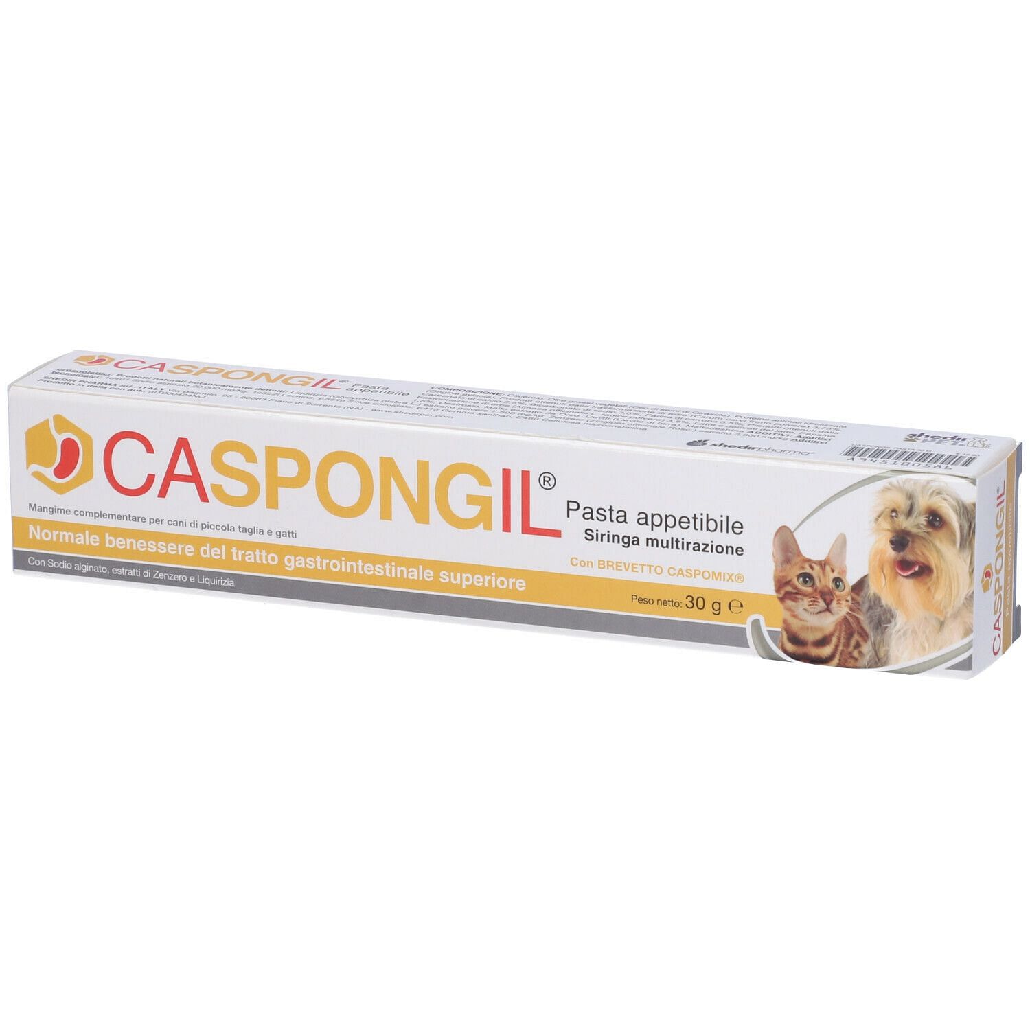 Caspongil Pasta 30 G